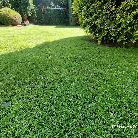 Homestay szállás Kwatera U Marka Władysławowo